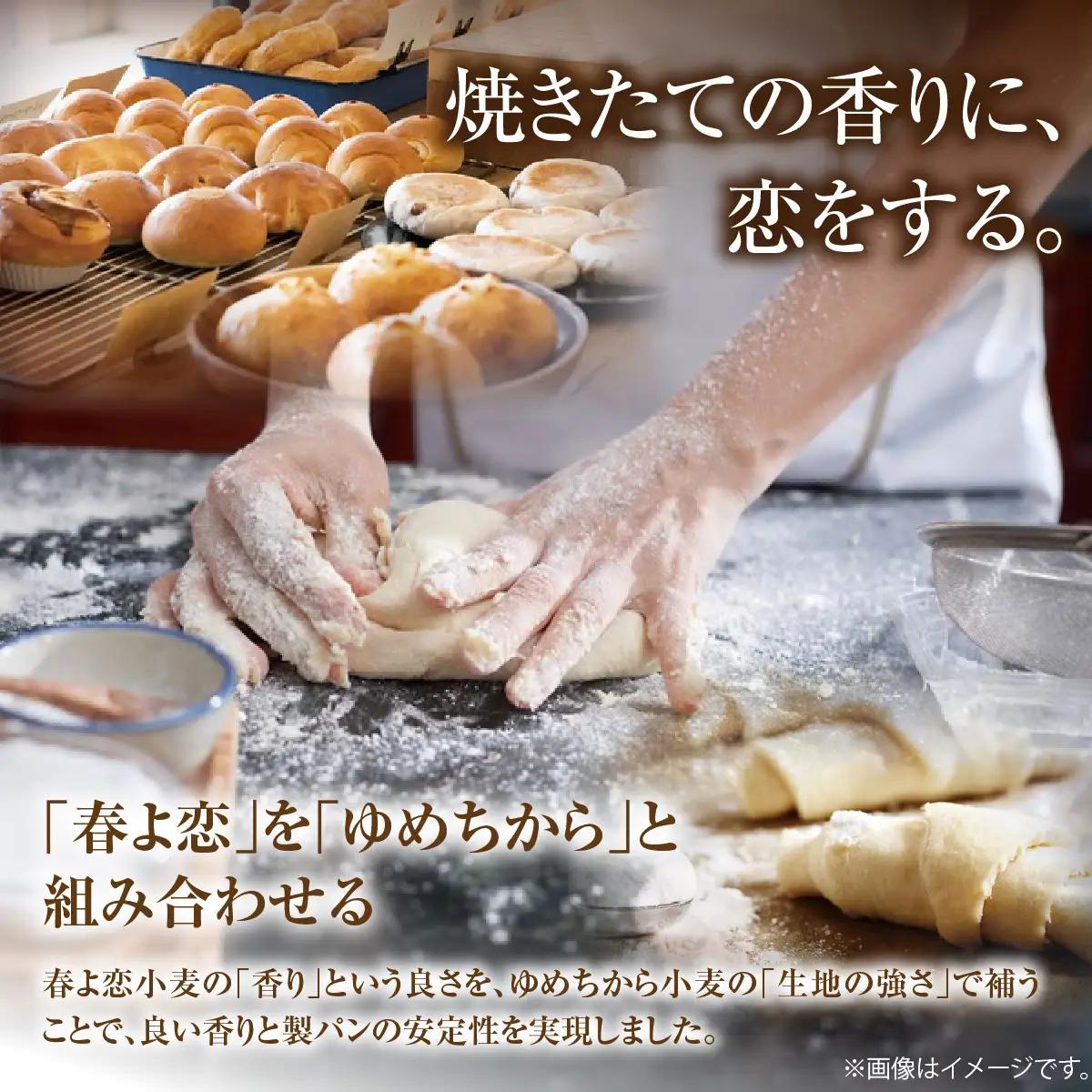 北海道産 小麦粉 「春よ恋」「ゆめちから」ブレンド小麦粉 パウダースノー（パン用強力粉）10kg MROBI012
