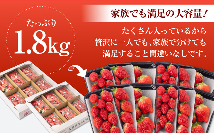 【先行予約】【産地直送】白石産いちご「いちごさん」 約150g×12パック（計1800g以上）【道の駅しろいしカンパニー】 [IAA039]