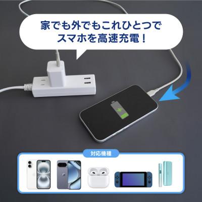 ふるさと納税 海老名市 オウルテック 最大PD20W出力 GaN採用 USB Type-C×1 AC充電器 ブラック |  | 01