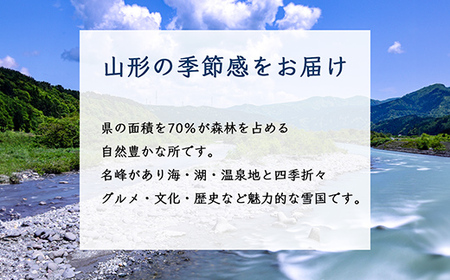 《先行予約 2024年度発送》山形ふじりんご 約2.5kg 約7玉～約9玉 FSY-1230