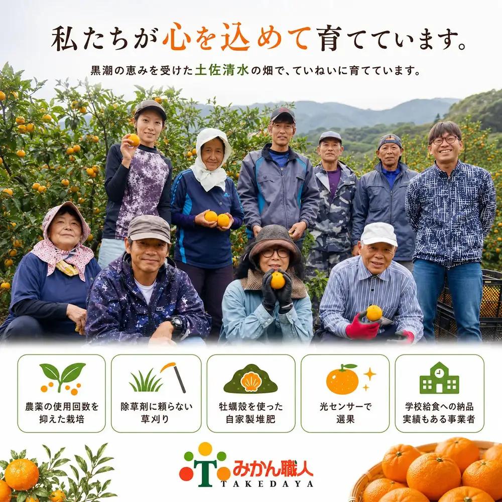 温州みかん 小粒っ子 3kg 傷み補償 300g 柑橘 果物 フルーツ 不揃い オレンジ 訳アリ 蜜柑 果実 みかん 極早生 早生 晩生 光センサー選果 みかん職人武田屋 高知県 土佐清水市【R017
