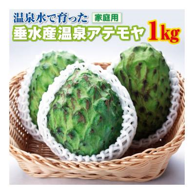 ふるさと納税 垂水市 【家庭用】垂水産温泉アテモヤ 1kg 森のアイスクリーム 訳あり 【財宝】(垂水市)