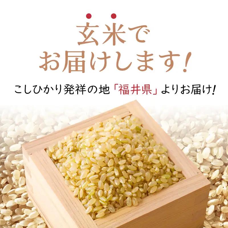 【先行予約】令和8年産 新米  幻のもち米 タンチョウ もち米 3kg（玄米）【10月中旬以降発送】 [e35-a059]