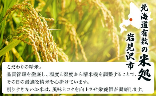 令和7年産 ＜定期便12回＞ 山下商店ななつぼし 20kg | 北海道岩見沢産 ななつぼし 米 白米 お米 岩見沢市【a164-021】