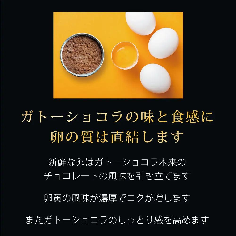 ガトーショコラ 缶詰 6缶セット スイーツ 缶詰