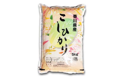 令和7年度産 新米 香川県琴平産コシヒカリ 5kg 《入金後2週間以内に発送》 銘柄米 ブランド米 国産 こしひかり コシヒカリ 米 精米 お米 ライス ギフト 贈り物 四国 F5J-1314
