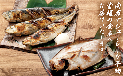 【順次発送】訳あり 干物・切身 セット 4.7kg 規格外 傷 不揃い