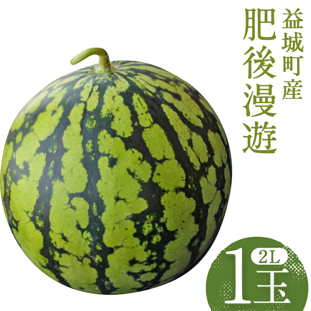 【ふるさと納税】スイカ 肥後漫遊 約7kg 1玉 2Lサイズ すいか フルーツ 果物 益城町産 熊本県産 九州産 送料無料