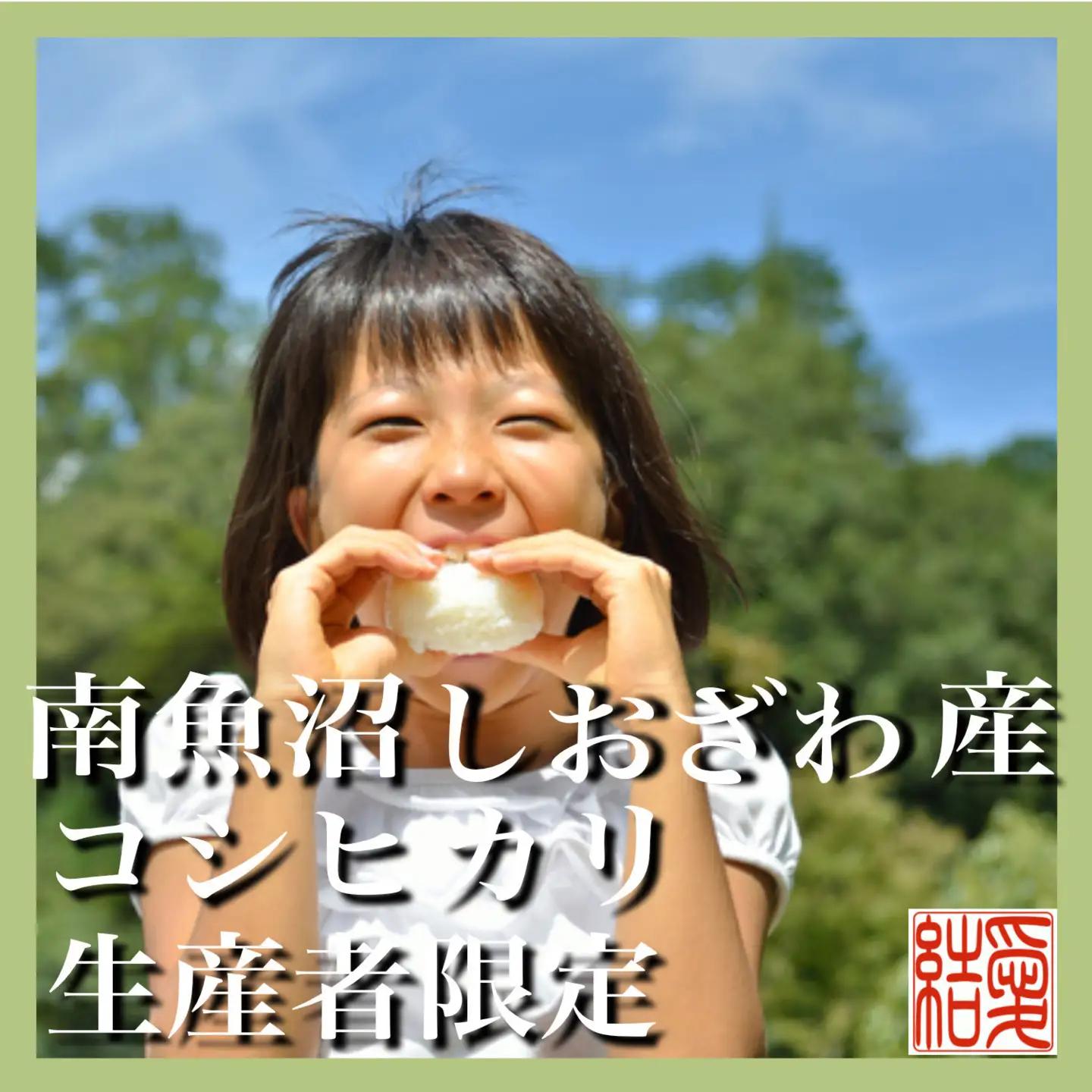 【令和7年】【定期便／20kg×12ヶ月】生産者限定 契約栽培 南魚沼しおざわ産コシヒカリ｜こしひかり