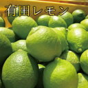 【ふるさと納税】【国産】紀州和歌山　有田レモン 　選べる容量！約1kg/約2kg/約3kg　※2024年10月上旬頃から順次発送予定 / 檸檬 柑橘 フルーツ 果物 くだもの 旬※北海道・沖縄・離島配送不可