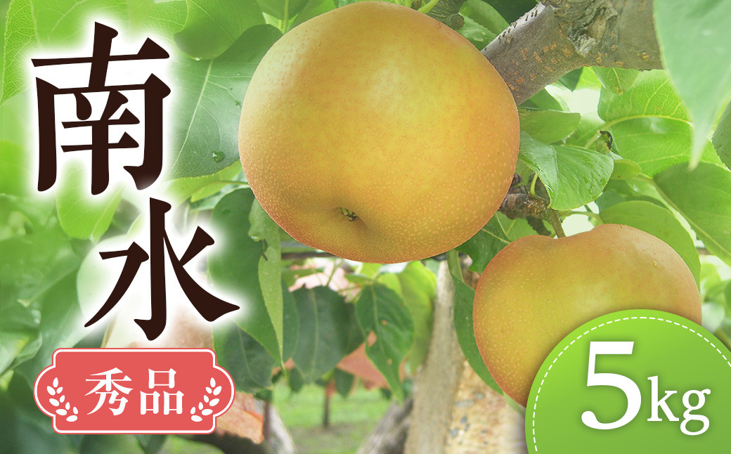
            【南信州産】梨　南水5kg　秀品　＜2025年9月中旬～発送開始予定＞　10玉～14玉入り
          