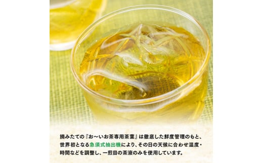 【3ヶ月定期便】伊藤園 おーいお茶 濃い茶 600ml×48本 【 伊藤園 飲料類  飲みもの 緑茶  お茶 カテキン ペットボトル PET 備蓄 長期保存 送料無料 】[F7344-0t3]