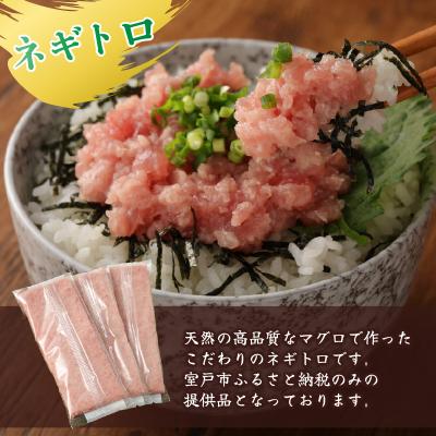 ふるさと納税 室戸市 2回定期便　ネギトロとかつおの定期便