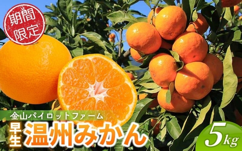 
                  【テレビで紹介されました】 金山パイロットファーム 温州みかん 5㎏ (早生) みかん ミカン 温州みかん 早生みかん 早生温州 フルーツ 果物 くだもの 柑橘 産地直送 数量限定 人気 国産 三重県 熊野市【knpr0014cho】

                