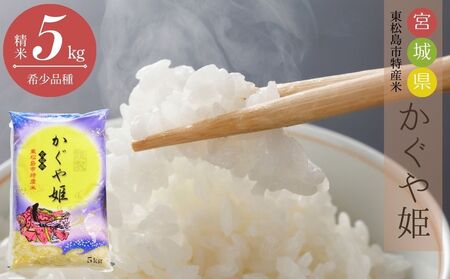 【令和7年産】 新米 宮城県産 超稀少品種 かぐや姫 精米 5kg 宮城県 東松島市 天授のお米 米 白米 こめ 宮城県 東松島市 オンラインワンストップ 対応 自治体マイページ