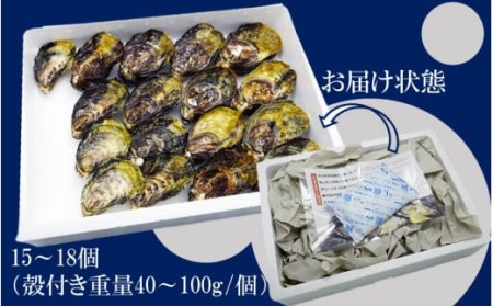 2112R_生食用殻付き牡蠣「Ostra Kunisaki」15～18個（殻付き重量40～100g/個）