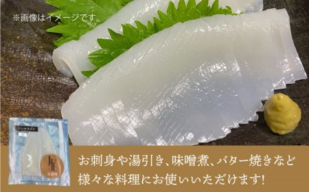 剣先イカ 刺身（小）3杯《壱岐市》【株式会社マルショウ】 いか イカ 剣先いか セット おつまみ [JEW002] 11000 11000円 コダワリイカ・いか こだわりイカ・いか おすすめイカ・いか