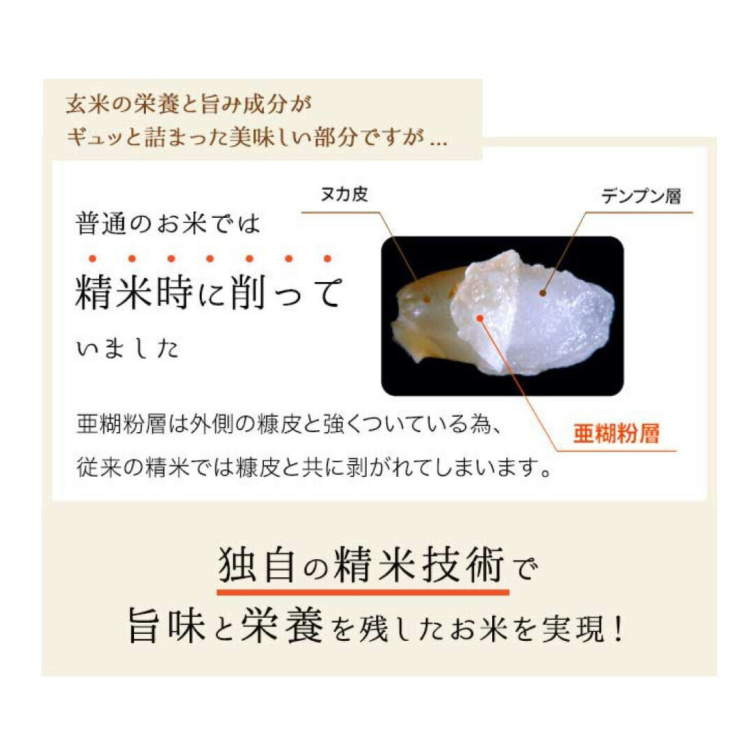 【 金芽米 】 ＜12月下旬出荷＞ つくばみらい市産 コシヒカリ 5kg × 2袋 ( 計 10kg ) 金芽米 きんめまい 米 お米 無洗米 茨城県 カロリーオフ 低カロリー 東洋ライス 節水 時短