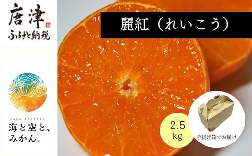 
『予約受付』【令和7年2月上旬発送】唐津産ハウス育ち「麗紅」2.5kg 手提げ箱入り ～海と空と、みかん～ ミカン フルーツ 柑橘 ギフト
