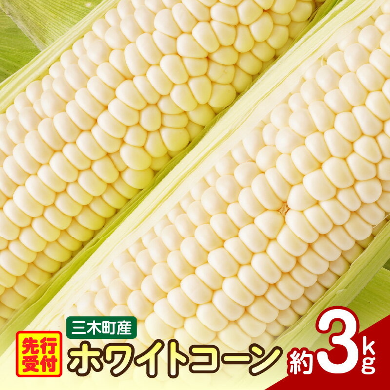【ふるさと納税】三木町産 ホワイトコーン 約3.0kg とうもろこし 野菜 コーン 旬の野菜 旬 季節の野菜 季節 贈答 贈り物 ギフト プレゼント おすそ分け グルメ お取り寄せ 人気 おすすめ 特産 特産品 生鮮食品 香川県 三木町 送料無料