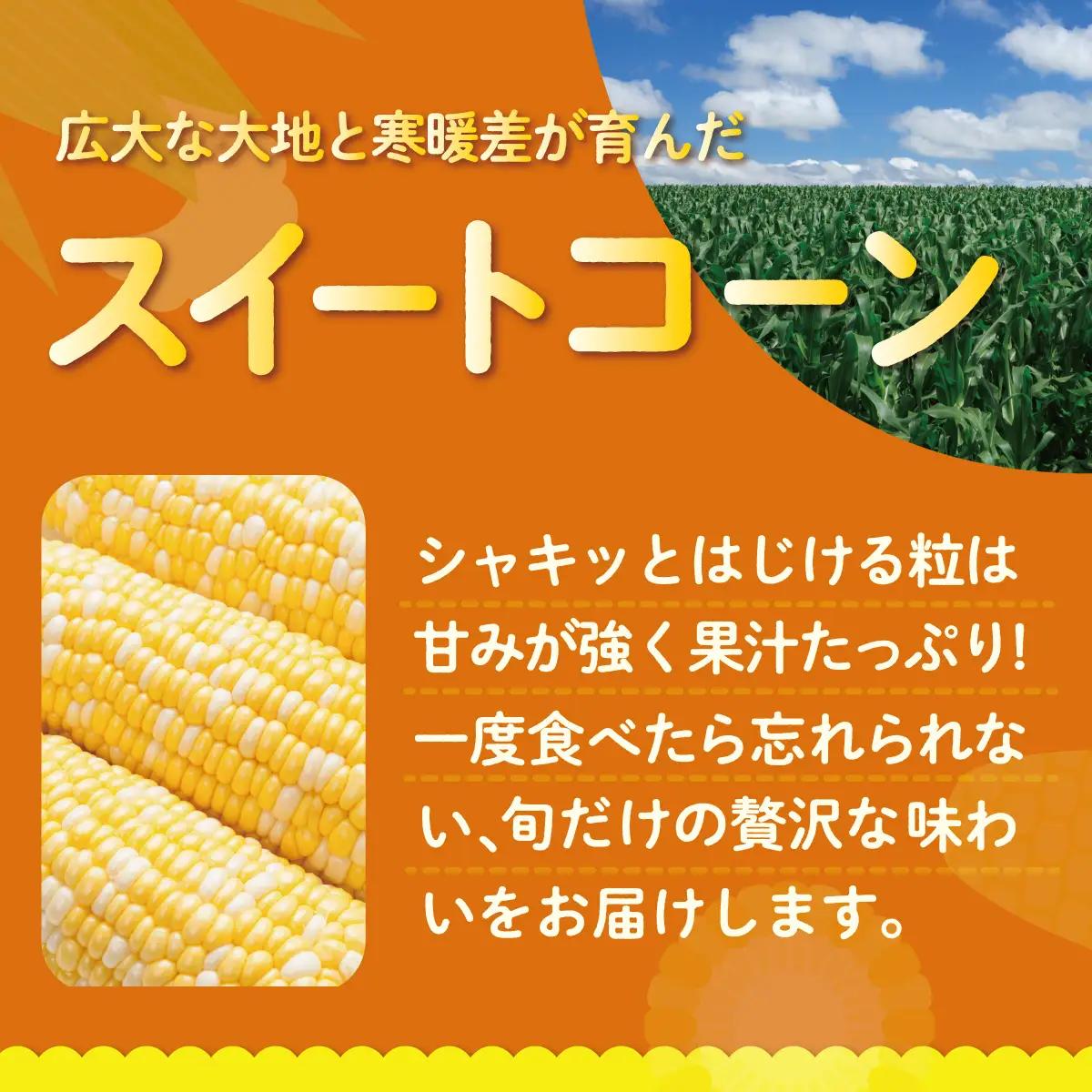 【ふるなびWEEK対象】＜2026年8月上旬よりお届け＞北海道壮瞥産 とうもろこし（スイートコーン）13本 約5kg SBTN001