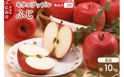 【27年2月発送】りんご ふじ【良品】約10kg キタエアップル 先行受付 青森県 弘前市 果物 フルーツ 林檎 リンゴ くだもの ギフト 贈り物 青森県 弘前市 [先行予約 産地直送 アップル おいしい 果実 美味 甘い 赤色]