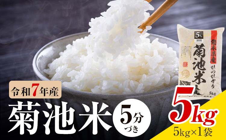 令和7年産 熊本県産 菊池米 5分づき 5kg 1袋5kg 株式会社くまもとごはん 《30日以内に出荷予定(土日祝除く)》米 お米 令和7年産 九州産 熊本県産  送料無料---026-3083---