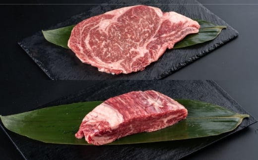 熊本県産 あか牛 ステーキ用ヒレ肉(約300g)、ロース肉(約400g) 計約700g / 牛肉 セット 国産 熊本県産 食べ比べ あか牛 赤牛 冷凍 お土産 豪華 贅沢 ご褒美 お祝い 人気 おもてなし 晩ご飯 ディナー ごちそう おうちごはん 熊本県 菊陽町 ロース ヒレ ステーキ 肉汁 300g 400g 700g【合同会社 たべたせいか】[BHBY002]