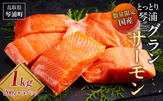 サーモン 琴浦 グランサーモン 1kg ( 200g × 5パック ) 【 刺身 生食可 国産 サーモン 養殖 陸上養殖 サーモン 刺し身 さしみ 小分け 真空 冷凍 サーモン 鮭 サケ 魚 さかな グランサーモン 海鮮 魚介類 養殖サーモン 鳥取 人気 おすすめ 国産サーモン 琴浦町 】