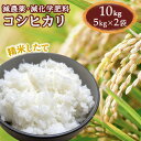 【ふるさと納税】コシヒカリ 精米したて 10kg 減農薬 減化学肥料 白米 令和6年産 ちばエコ農産物 千葉県産 千葉県産コシヒカリ 5kg × 2 新鮮 鮮度 米 おすすめ