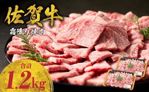 【11月配送】中山牧場 佐賀牛霜降り焼肉 1.2kg（600g×2パック） ／ バーベキュー BBQ 牛肉 肉 お肉 佐賀牛 赤身 霜降り モモ ウデ 肩ロース カルビ 焼き肉 焼肉セット A5 A4 a5 a4 黒毛和牛 ブランド牛 国産 佐賀県 玄海町 冷凍