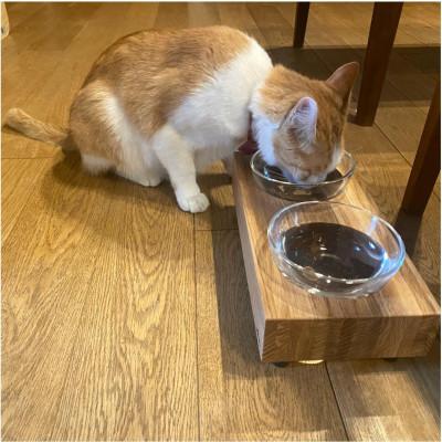 ふるさと納税 福岡市 ペットフードテーブル　hole S 2連(福岡市内製造)(ガラスボウル付き)(福岡市) VL013 |  | 03