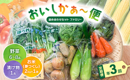 野菜セット おいしかぁ～便 詰め合わせ 新鮮野菜 福岡県産 野菜セット【ファミリー用】【定期便年3回】