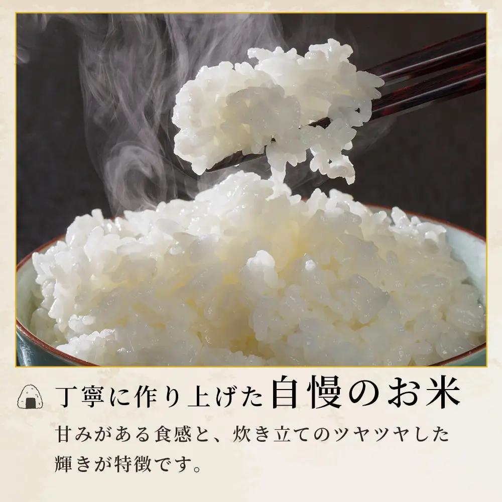 人吉球磨のお米「ひのひかり」無洗米10kg  精米 お米 ご飯 熊本県 ヒノヒカリ お米 精米 こめ コメ 国産 ブランド米 053-0510