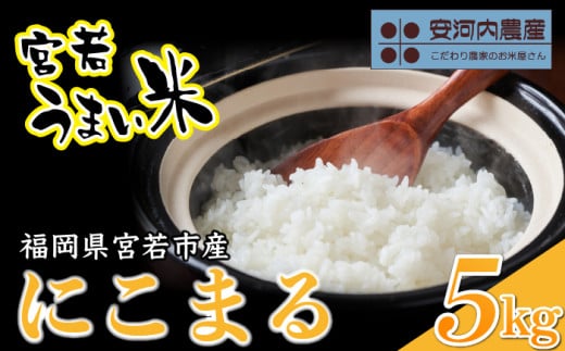 令和7年産　【先行予約】にこまる 5kg　【10月下旬より順次発送】福岡県宮若産〈安河内農産〉　[M04-3]　 米・食味国際大会金賞米 精米 ブランド米 コメ ご飯 白米
