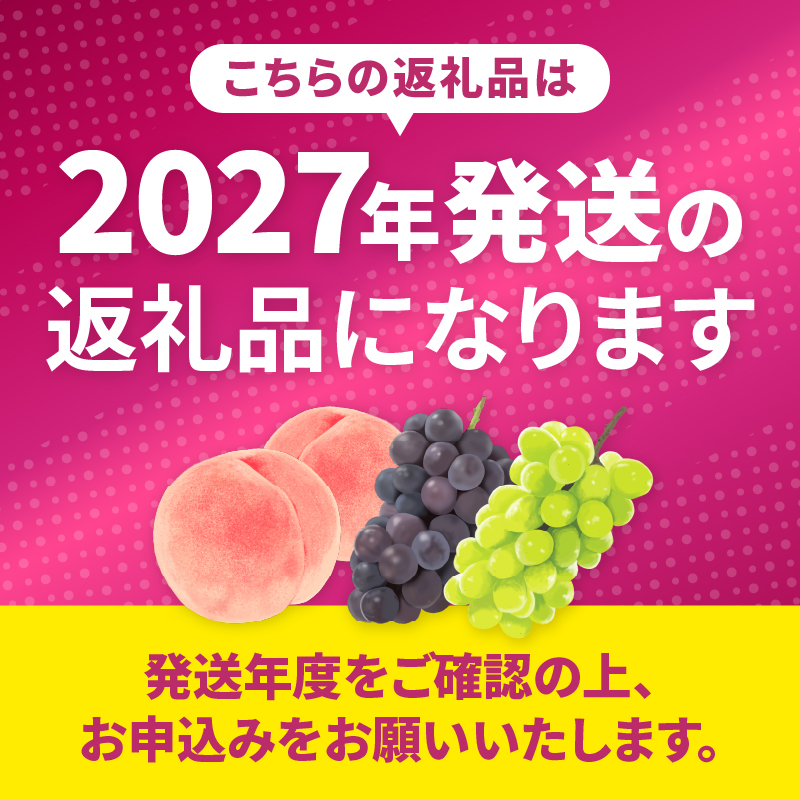 元祖黒系！！旬の採れたて種なし巨峰1.0kg以上（2房～3房）【2027年発送】（HO）B12-148