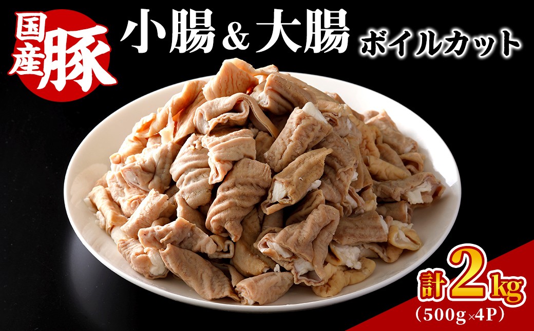 
                  国産豚 小腸・大腸 ボイルカット ＜計2kg＞ 焼肉 ホルモン ボイルホルモン 豚ホルモン もつ もつ煮 業務用 冷凍 小分け 【スターゼン】【ms24-05】
                