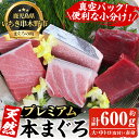 【ふるさと納税】《プレミアム》天然本まぐろフルセット(計600g) 100g柵でお届け！肉厚のお刺身や海鮮丼に！まぐろ 鮪 魚介 刺し身 刺身 さしみ 海鮮丼 本まぐろ 本マグロ 小分け 便利 冷凍 新鮮【海鮮まぐろ家】