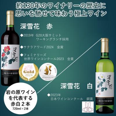 ふるさと納税 上越市 日本ワインの歴史を味わう岩の原ワインセット(赤白2本、冊子1冊) |  | 01