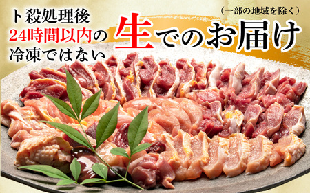 【かしわの川中】超新鮮＆美味！大津市で飼育した近江しゃもor名古屋コーチン！約600g（2〜3人前）[G005] / しゃも 軍鶏
