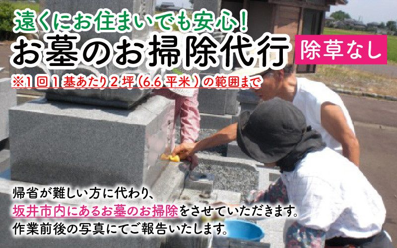 
遠くにお住まいでも安心！ お墓のお掃除代行 【1回1基あたり2坪（6.6平米）の範囲まで・除草なし】 [A-11471]
