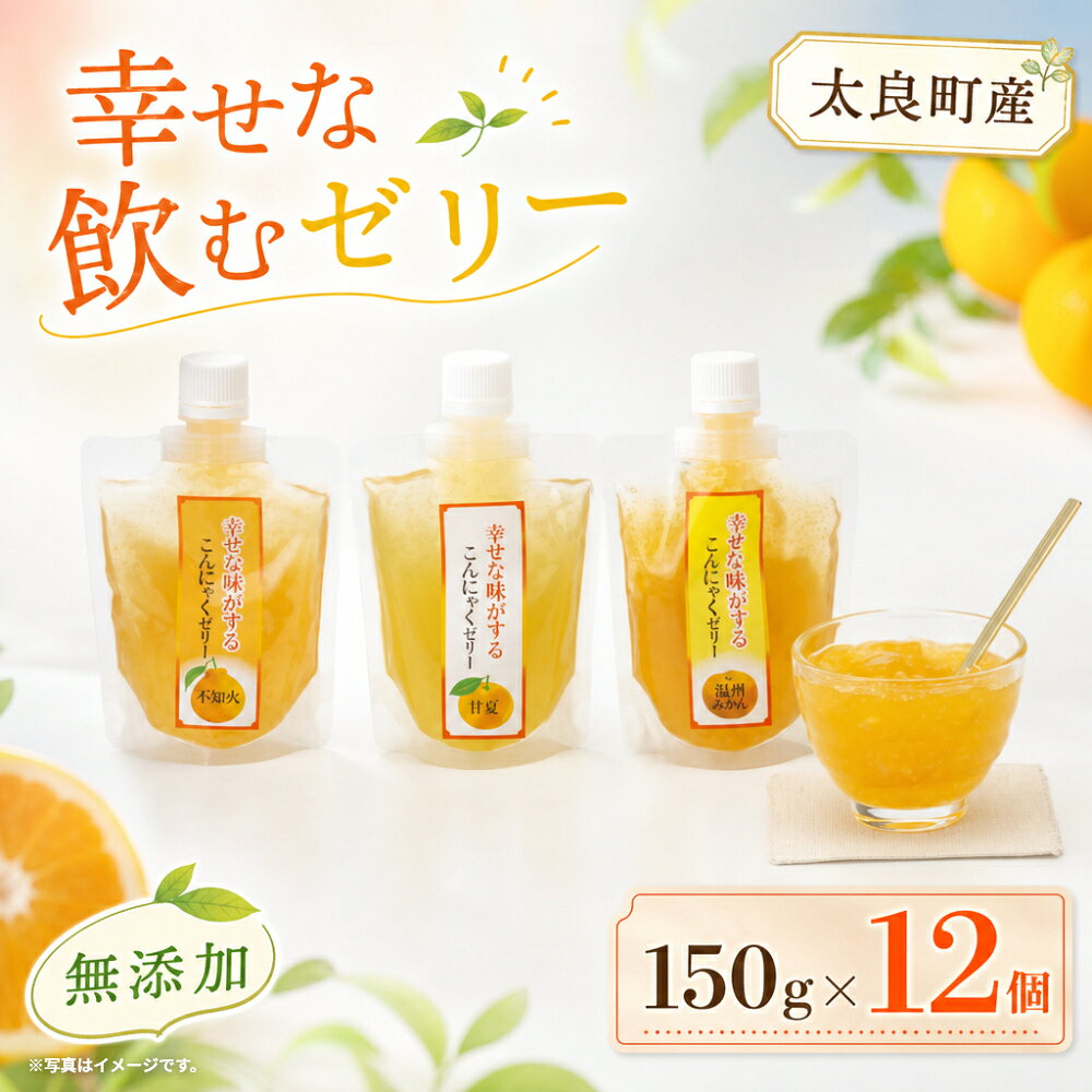 【ふるさと納税】O39x1 幸せな味がする飲むこんにゃくゼリー　12個セット