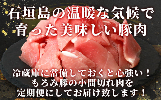 【定期便 5回配送】【石垣島ブランド豚】もろみ豚 豚こま切れ 250g×25袋【合計5kg】【もろみで育てる自慢の豚肉】簡単 便利 小分け 小間切れ 細切れ 5ヶ月 5か月 5ヵ月 AH-15