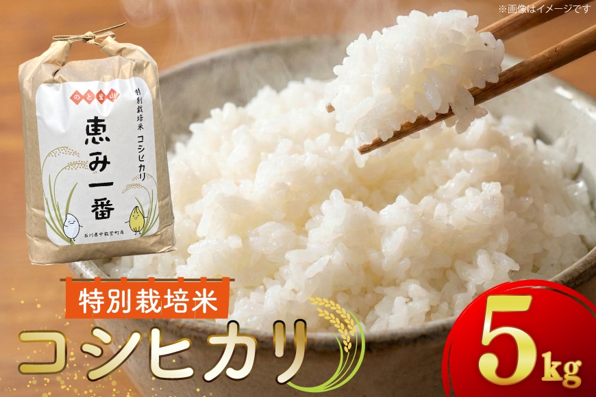 
                  米 令和7年産 特別栽培米 コシヒカリ 5kg 精米 [ハッピーダイヤモンド 石川県 中能登町 nk17bjo780000] お米 こめ コメ kome こしひかり 白米 5キロ 能登 7年産
                