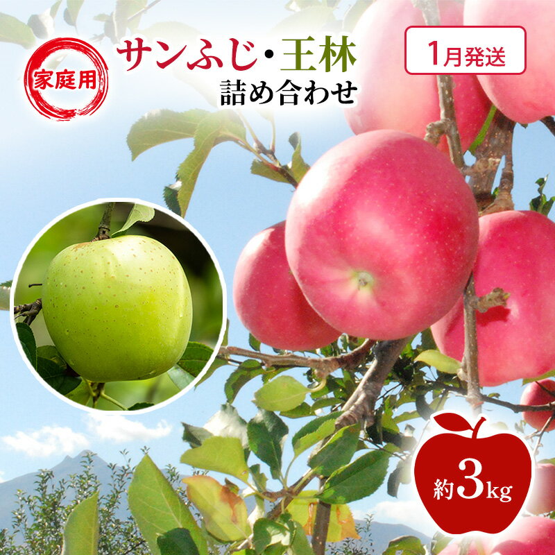 【ふるさと納税】【1月発送】家庭用 サンふじ・王林 詰め合わせ 約3kg 果物類 フルーツ 林檎 リンゴ 鶴田町 青森県 おやつ デザート　お届け：2027年1月上旬～2027年1月下旬