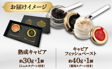 高知産熟成 キャビア キャビアフィッシュペースト 贈答セット / キャビアサメ 料理【興洋フリーズ株式会社】 [ATBX011]