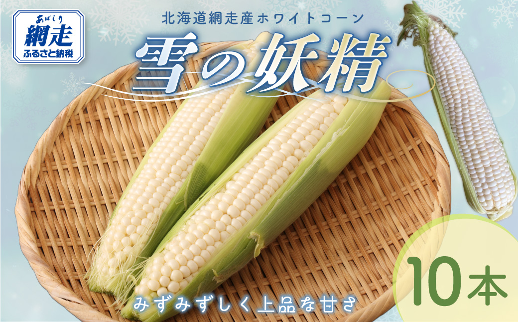 【先行予約】とうもろこし 雪の妖精（2026年8月上旬頃より順次発送） ABCA002