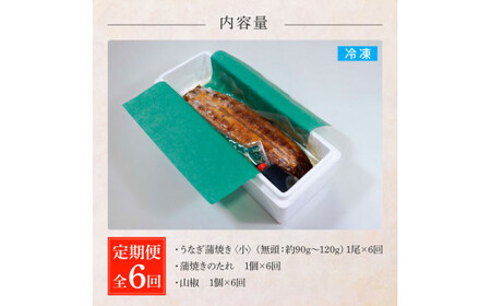 うなぎの蒲焼き(小) 1尾×6回 定期便 6ヶ月 定期コース タレ付き 山椒付き