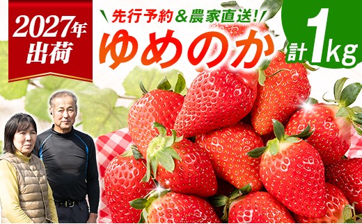 
                  ＜2027年出荷＞先行予約 宮崎県産 いちご「ゆめのか」計1kg（250g×4パック）フルーツ 期間限定 デザート ご褒美【B701】
                