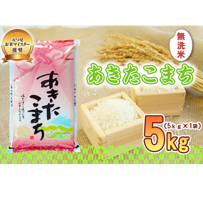 佐々木米穀店 米 五つ星お米マイスター推奨 あきたこまち 無洗米 5kg 岩手 盛岡市産 お米 白米 精米 ご飯 ブランド米 新米 令和6年産 産地直送 送料無料 コメ こめ おこめ 令和6年 2024年 岩手県 盛岡 盛岡市